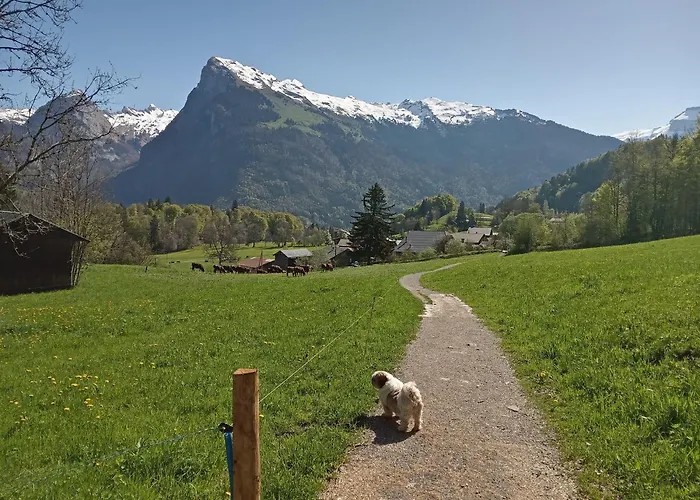 Fermes De Vercland 2 Places 3* Samoëns