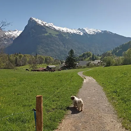 Fermes De Vercland 2 Places * Samoens